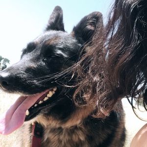 Meet your Posher, Kasandra